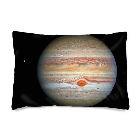 Silk Jupiter & Europa Pillowcase